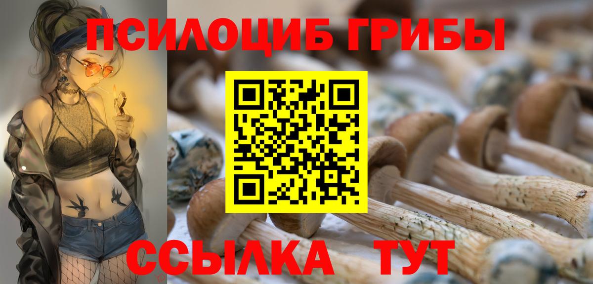 Галлюциногенные грибы Psilocybine cubensis Астрахань